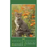 Stimmungsbild zu Hallo Du 2026 - Aufkleber-Kalender