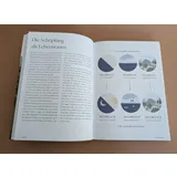 Stimmungsbild zu Das Bibellesebuch zu 1. Mose