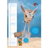 Stimmungsbild zu Der ultracoole KLÄX-Kalender 2026