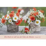 Stimmungsbild zu Postkartenbox "Wir sind im Garten"