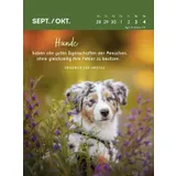 Stimmungsbild zu Hunde sind die besten Freunde 2026 - Wochenkalender