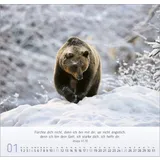 Stimmungsbild zu Natur-Impressionen 2026 - Wandkalender