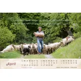 Stimmungsbild zu Der gute Hirte 2026 - Postkartenkalender