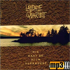 Produktbild des Artikels Wie hast du mich verändert (MP3-Album - Download)