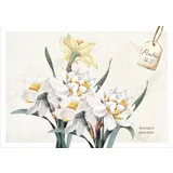 Stimmungsbild zu Postkartenbox "Meisterwerke des Schöpfers"