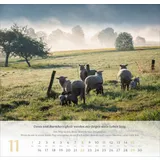 Stimmungsbild zu Psalm 23 - Wandkalender 2026