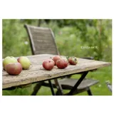 Stimmungsbild zu kleine Geste - Postkartenbuch