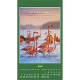 Stimmungsbild zu Hallo Du 2026 - Aufkleber-Kalender