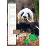 Stimmungsbild zu Der ultracoole KLÄX-Kalender 2026