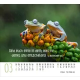 Stimmungsbild zu Begegnungen 2026 - Minikalender