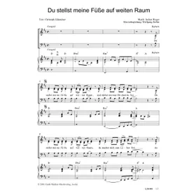Produktbild des Artikels Du stellst meine Füße auf weiten Raum (Noten - Download)