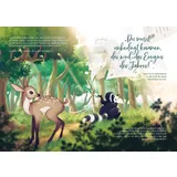 Stimmungsbild zu Vom kleinen Waschbären, der nicht aufgab und den großen Sprung wagte