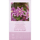 Stimmungsbild zu Schön, dass es dich gibt 2026 - Wandkalender