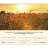 Stimmungsbild zu Kostbares für deine Seele 2026 - Postkartenkalender