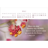 Stimmungsbild zu Das Geschenk der Freude 2026