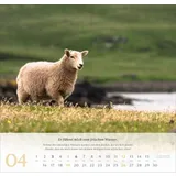 Stimmungsbild zu Psalm 23 - Wandkalender 2026