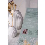 Stimmungsbild zu Jeden Tag ein neues Ja