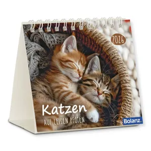 Produktbild des Artikels Katzen 2026 - Minikalender (Kalender - Spiralbindung)