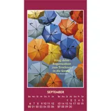 Stimmungsbild zu Gute Worte erhellen den Tag 2026 - Aufkleber-Kalender