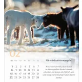 Stimmungsbild zu Psalm 23 - Tischkalender 2026
