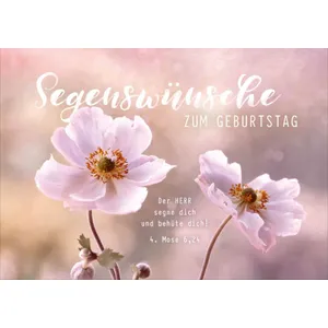 Produktbild des Artikels Faltkarte "Segenswünsche zum Geburtstag" - Blumen (Schreibwaren)