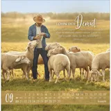 Stimmungsbild zu Die Liebe bleibt bestehn 2026 - Postkartenkalender