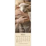 Stimmungsbild zu Sei behütet jeden Tag 2026 - Lesezeichen-Kalender