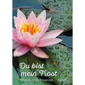 Produktbild des Artikels Du bist mein Trost (Buch - Geheftet)