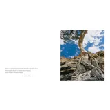 Stimmungsbild zu Dass deine Träume Wurzeln schlagen