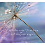 Stimmungsbild zu Lichtblicke für jeden Tag - Aufstellbuch