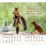 Stimmungsbild zu Du bist meine Freude 2026 - Tischkalender