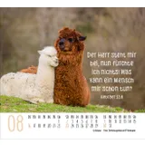 Stimmungsbild zu Begegnungen 2026 - Minikalender