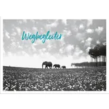 Stimmungsbild zu Post für dich - Postkartenset