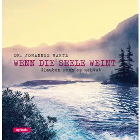 Produktbild des Artikels Wenn die Seele weint (Buch - Gebunden)
