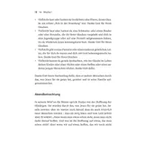 Stimmungsbild zu Mehr von dir