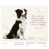 Stimmungsbild zu MeisterWerke des Schöpfers 2026 - Tischkalender