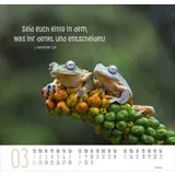 Stimmungsbild zu Beste Freunde 2026 - Posterkalender