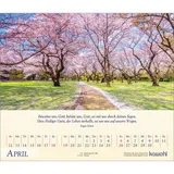 Stimmungsbild zu Kostbares für deine Seele 2026 - Postkartenkalender