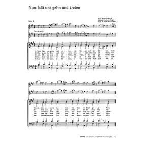 Produktbild des Artikels Nun lasst uns gehn und treten (Noten - Download)