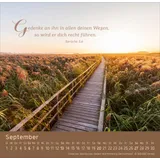 Stimmungsbild zu Weg-Licht-Leben 2026 - Tischkalender