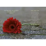 Stimmungsbild zu Trost für dich