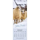 Stimmungsbild zu Sei behütet jeden Tag 2026 - Lesezeichen-Kalender