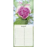 Stimmungsbild zu Gottes Segen auf euren Wegen - Geburtstagskalender immerwährend