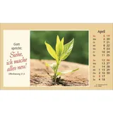 Stimmungsbild zu Der kleine Begleiter 2026 - Aufstellkalender