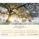 Stimmungsbild zu Kostbares für deine Seele 2026 - Postkartenkalender