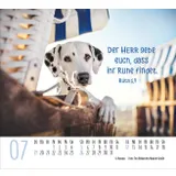 Stimmungsbild zu Hunde 2026 - Minikalender