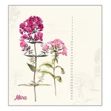 Stimmungsbild zu Viel Glück & viel Segen - Geburtstagskalender