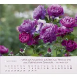 Stimmungsbild zu Rosen 2026 - Tischkalender