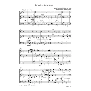 Produktbild des Artikels Du meine Seele singe (Noten - Download)