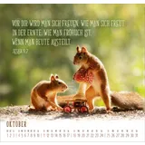 Stimmungsbild zu Du machst mich froh 2026 - Wandkalender